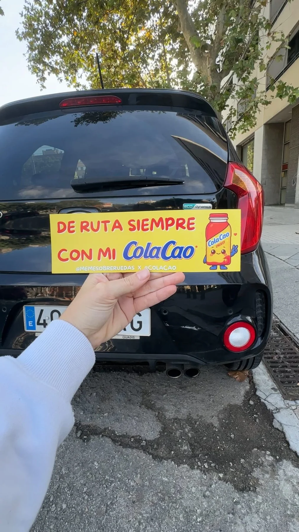 Pegatinas de coche